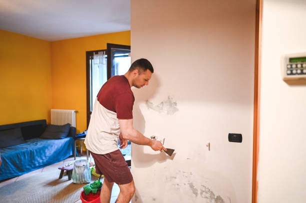 Best Home Mold Removal  in Whitg, IN